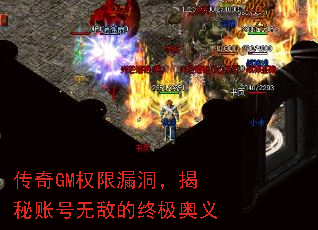 ����GMȨ��©���������˺��޵е��ռ�����