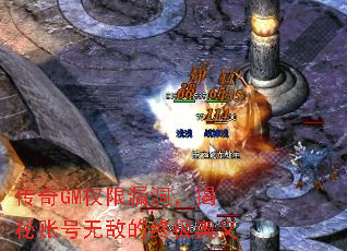 ����GMȨ��©���������˺��޵е��ռ�����