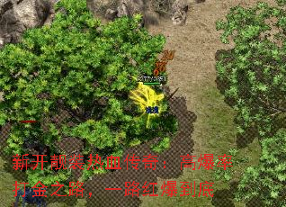 �¿���װ��Ѫ���棺�߱��ʴ��֮·��һ·�챬����