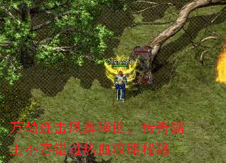 ��������籩����������������ݴ�����Ѫ�����ؼ�