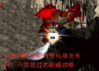 ��Ѫ����ȫ�´���˽�������������ݴ������۷幥��