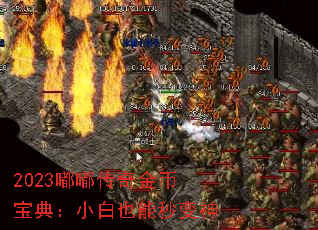 2023嘟嘟传奇金币宝典:小白也能秒变神 2023嘟嘟传奇金币宝典:小白也能秒变神