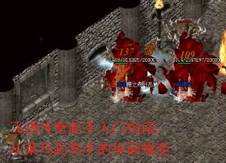 ���ﴫ����������ָ�ϣ��Ӳ��񵽸��ֵĻ����ɱ�