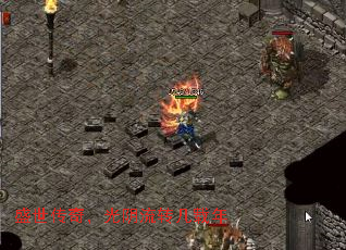 ʢ�����棬������ת������