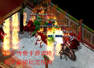 �¿��������ι��ԣ����ֱ�֪�淨ָ��