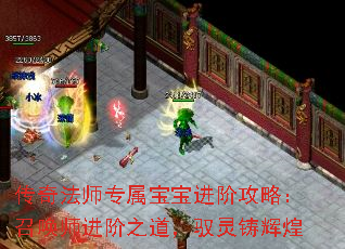 传奇法师专属宝宝进阶攻略:召唤师进阶之道,驭灵铸辉煌 传奇法师专属宝宝进阶攻略:召唤师进阶之道,驭灵铸辉煌