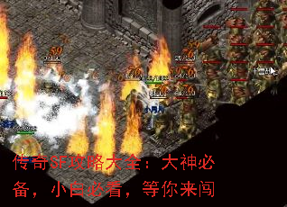 传奇SF攻略大全:大神必备,小白必看,等你来闯 传奇SF攻略大全:大神必备,小白必看,等你来闯