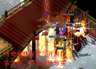 �����������ţ�����̽��֮�ã�Ѱ��ϡ���䱦