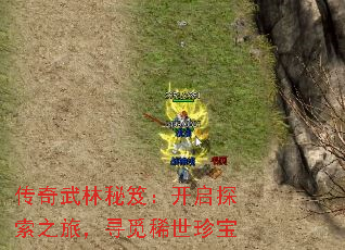 传奇武林秘笈:开启探索之旅,寻觅稀世珍宝 传奇武林秘笈:开启探索之旅,寻觅稀世珍宝