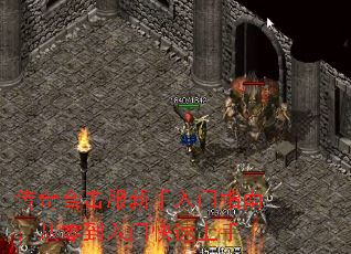 ����ϻ�����������ָ�ϣ����㵽���ſ�������