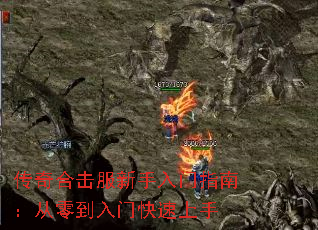 ����ϻ�����������ָ�ϣ����㵽���ſ�������