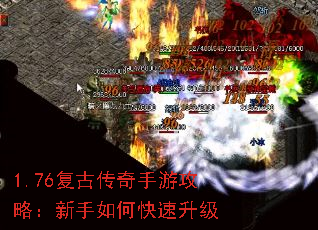 1.76���Ŵ������ι��ԣ�������ο�������