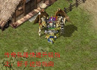 ����˽����������ָ�������ֽ���ָ��