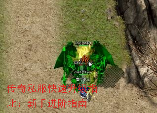 ����˽����������ָ�������ֽ���ָ��