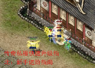 ����˽����������ָ�������ֽ���ָ��