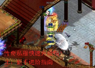 ����˽����������ָ�������ֽ���ָ��