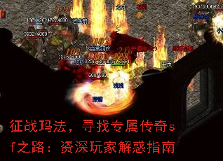 征战玛法,寻找专属传奇sf之路:资深玩家解惑指南 征战玛法,寻找专属传奇sf之路:资深玩家解惑指南