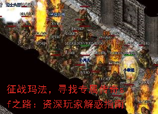 征战玛法,寻找专属传奇sf之路:资深玩家解惑指南 征战玛法,寻找专属传奇sf之路:资深玩家解惑指南