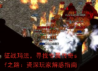 ��ս�귨��Ѱ��ר������sf֮·��������ҽ��ָ��