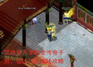 混迹新开单职业传奇手游,征战玛法大陆攻略 混迹新开单职业传奇手游,征战玛法大陆攻略