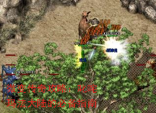 ΢�䴫�湥�ԣ�߳���귨��½�ıر�ָ��