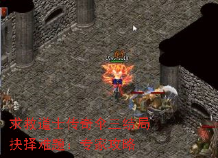 ��ȵ�ʿ����ɡ����־������⣺ר�ҹ���