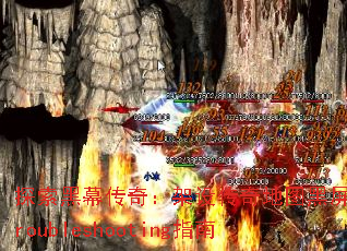 ̽����Ļ���棺���贫���ͼ����Troubleshootingָ��