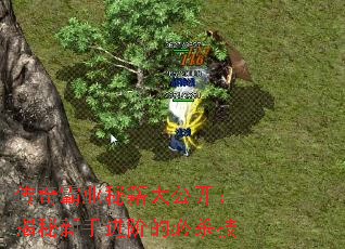 �����ҵ�ؼ��󹫿����������ֽ��׵ı�ɱ��