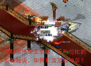 ��ְҵ�����̬�棺�����ױȵ�װ���ؾ�����δ��춥����װ��