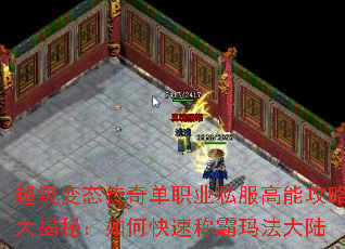 超级变态传奇单职业私服高能攻略大揭秘:如何快速称霸玛法大陆 超级变态传奇单职业私服高能攻略大揭秘:如何快速称霸玛法大陆