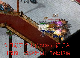 �����¿��ϻ�����SF���������Ź��ԣ��������������ɳư�