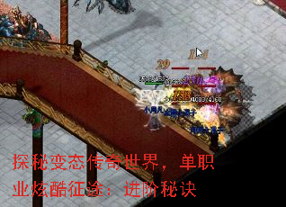 ̽�ر�̬�������磬��ְҵ�ſ���;�������ؾ�