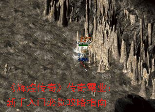 ���Իʹ��桷�����ҵ���������ű�������ָ��