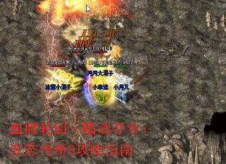 Ѫ���ֻء��Ȼ��������̬����S����ָ��