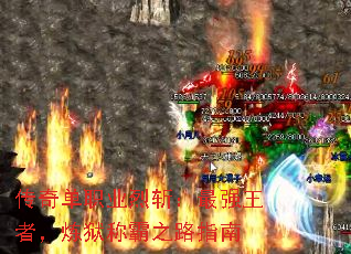 ���浥ְҵ��ն����ǿ���ߣ������ư�֮·ָ��