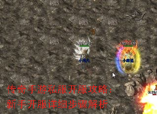 ��������˽���������ԣ����ֿ�����ϸ�������