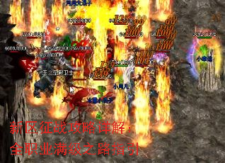 ������ս������⣺ȫְҵ����֮·ָ��