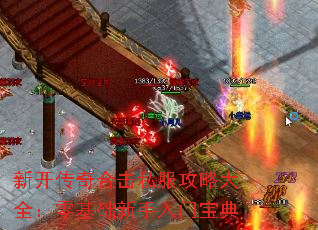 �¿�����ϻ�˽�����Դ�ȫ��������������ű���