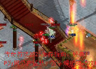 ������Ϸ2025����ָ�ϣ�����IPΪ�����ڻ�Ծ�����ֽ���ʵս����