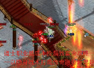 ��ʿְҵ�ͳɱ���©�¸�ȫ���ԡ���������ս�����촫���ש��˼·