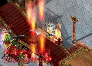 ��Ѫ�������Ͽ�Ⱦ��������ǰ����