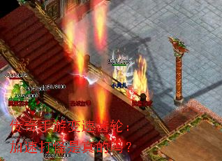 �������α��ٳ��֣����ٴ���������