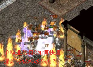 ��ְҵ����3��ο��������ȼ���ս������