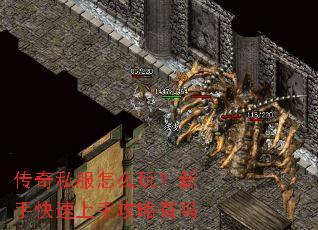 传奇私服怎么玩?新手快速上手攻略有吗 传奇私服怎么玩?新手快速上手攻略有吗