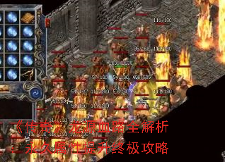 �����桷��ԴѪ·ȫ�������������������ռ�����