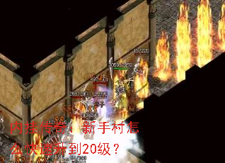 �ڹҴ��棺���ִ���ô��������20����