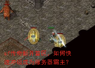 sf�����¿���������ο��ٳ弶��Ϊ������������