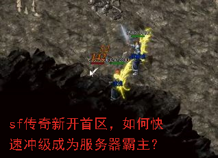 sf�����¿���������ο��ٳ弶��Ϊ������������