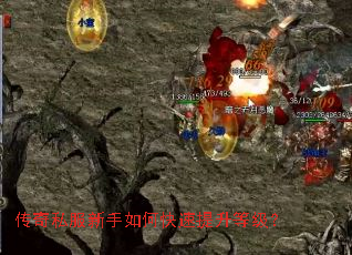 ����˽��������ο��������ȼ���