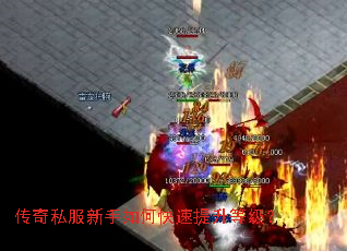 ����˽��������ο��������ȼ���